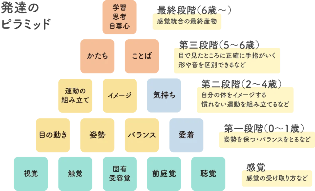  感覚統合の「発達のピラミッド」の図解