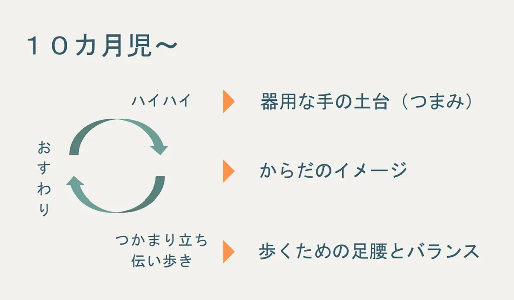 講座資料「10カ月児〜」。ハイハイ、おすわり、つかまり立ちや伝い歩きをくり返す中で、器用な手の土台、からだのイメージ、歩くための足腰とバランスが育つことを示した図